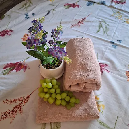 Deluxe Marta Homestay
